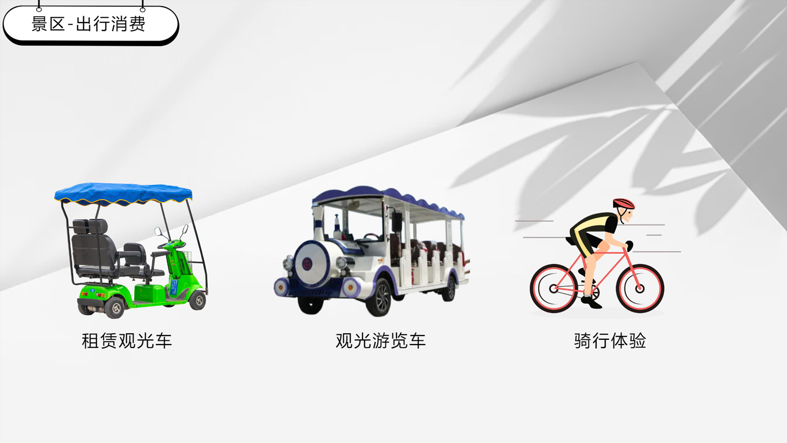 自行车.jpg