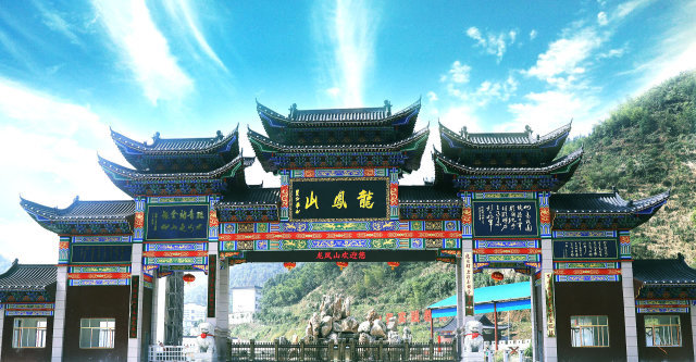 龙凤简介